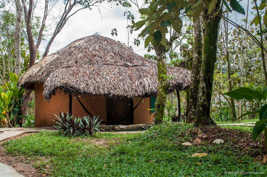 El Colombre Willa Palenque Pokój zdjęcie